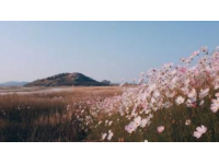 羊台山——口福与艺术的交汇之地