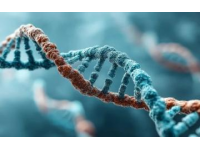 七年级上册生物常考知识点梳理，都是典型的送分题内容，记住了就能拿分