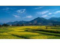 云南大理3天2夜800元全攻略：轻松玩转万元体验，带你避开坑！