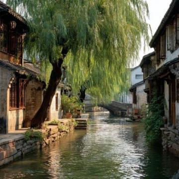 乌镇旅游攻略：畅游水乡秘境
