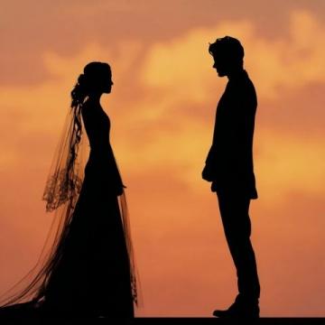 婚姻内省：揭秘夫妻内心世界与情感裂痕
