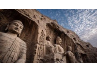 世界遗产之——熊野古道漫步美景