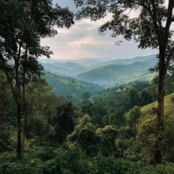 探索西双版纳：6日5夜旅行指南 | 必备出行准备清单