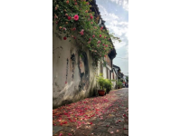 探秘清远英德：我的旅行日记