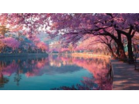 太湖畔樱花盛宴：鼋头渚的三万粉嫩之旅
