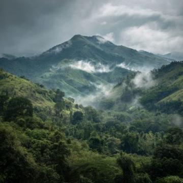 以下是为你规划的**西双版纳5天4晚**深度游攻略,涵盖热带雨林、傣族文化、美食