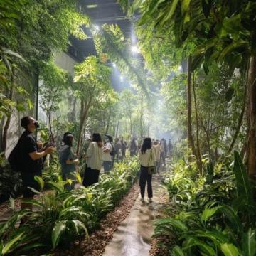 南宁旅游全攻略｜保姆级指南带你玩转绿城！收藏这篇就够了