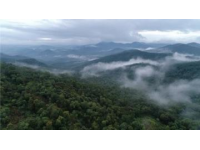 这里高达95%的森林覆盖率，空气格外清新