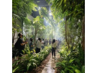 南宁旅游全攻略｜保姆级指南带你玩转绿城！收藏这篇就够了