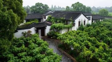 惠安中新花园:品味美食,传承文化
