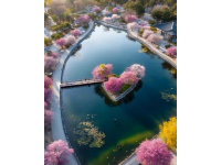 春天必游：英雄城南昌的花海湖光，22℃柔情等待您的心动瞬间