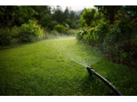 绿植养护技巧大揭秘：浇水、光照与施肥全攻略
