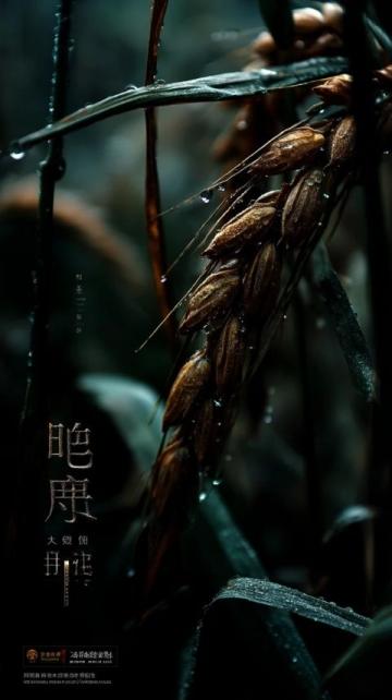 掌握农业谚语:立秋雨水喜,处暑雨忧愁