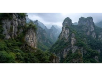 东港村探秘：老周羊圈与葛乌沟崖柏天坑之旅