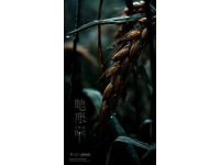 掌握农业谚语：立秋雨水喜，处暑雨忧愁