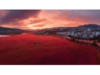 隐匿于川西的净土理塘,我的家乡