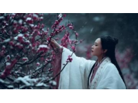 大理三日游：慢享风花雪月间的诗意时光