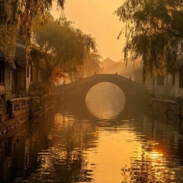 春寒雨冷,乌镇东栅匆匆一游