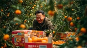 山东2025年倒春寒来袭:智能技术助力抗灾保春耕