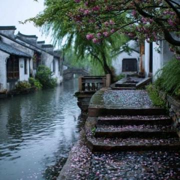 逛老门东逛到脚酸时,被巷口飘来的温厚鸭香勾了魂——不是网红店那种冲鼻的香精味