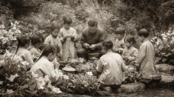 广东佛山市高明区沙寮村:西江河鲜美食与田园风光之旅