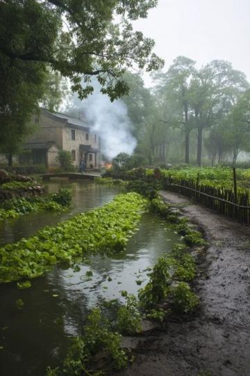 广东佛山市高明区沙寮村:西江河鲜美食与田园风光之旅