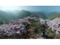 五一黄金周旅行指南：自然探险、历史文化与都市魅力不可错过的好去处