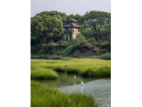 探索高淳绿意盎然——在万亩茶园与竹林中享受宁静之旅