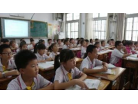 高效记忆：七年级四大学科核心知识要点