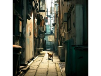如今街头巷尾处处可见流浪猫的身影