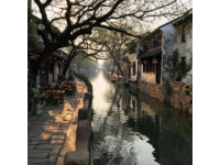 江苏太仓旅游攻略：应对AI造谣，畅游江南水乡美景与美食
