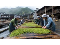 贵州黔东南休闲胜地盘点：民族风情与自然风光一网打尽