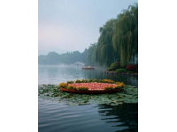 济南大明湖攻略：四面荷花三面柳，尽赏湖光山色美景