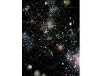 探寻中华古韵：揭秘鹑尾星次的神秘面纱