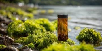 10分钟简易养生法：忙碌人士的专属健康提升术